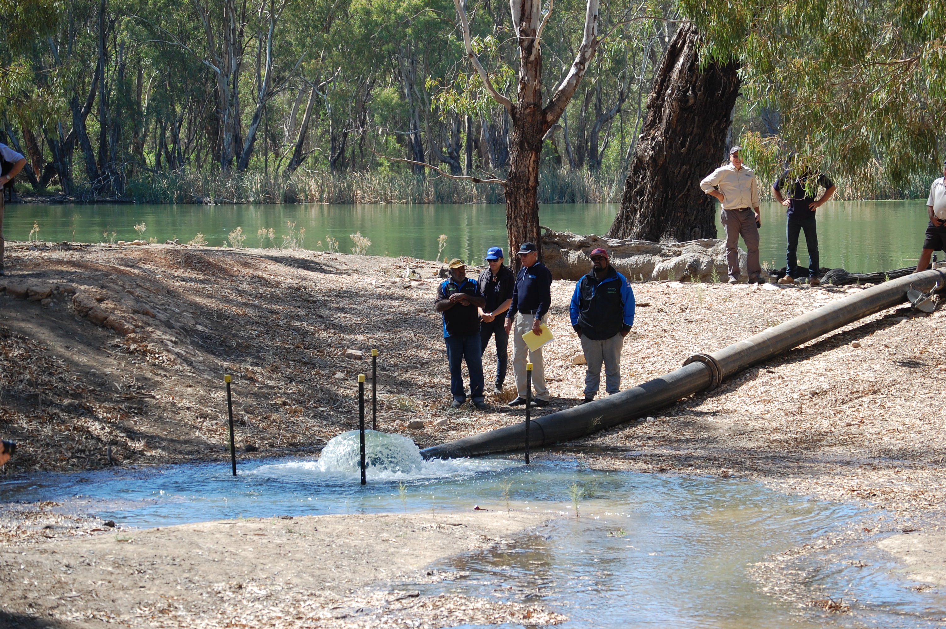 Sustainable Waters » Wetland Revival: Using Impact Investment To ...